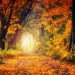Herbstwandern in Holland: 10 Verzaubernde Routen für Naturliebhaber