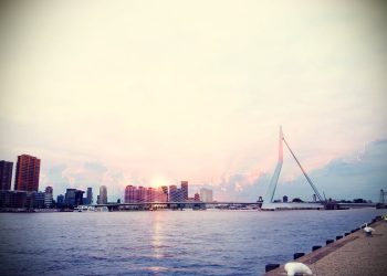 Rotterdam City Trip - Local Lens