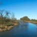 Nationalpark De Biesbosch: Mit dem Kanu durch ein grünes Labyrinth