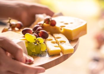 Käse, Bier und picknick - Urlaub in Holland
