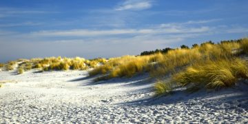 Wandern Schoorlse Duinen - Urlaub in Holland