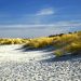 Wandern Schoorlse Duinen - Urlaub in Holland